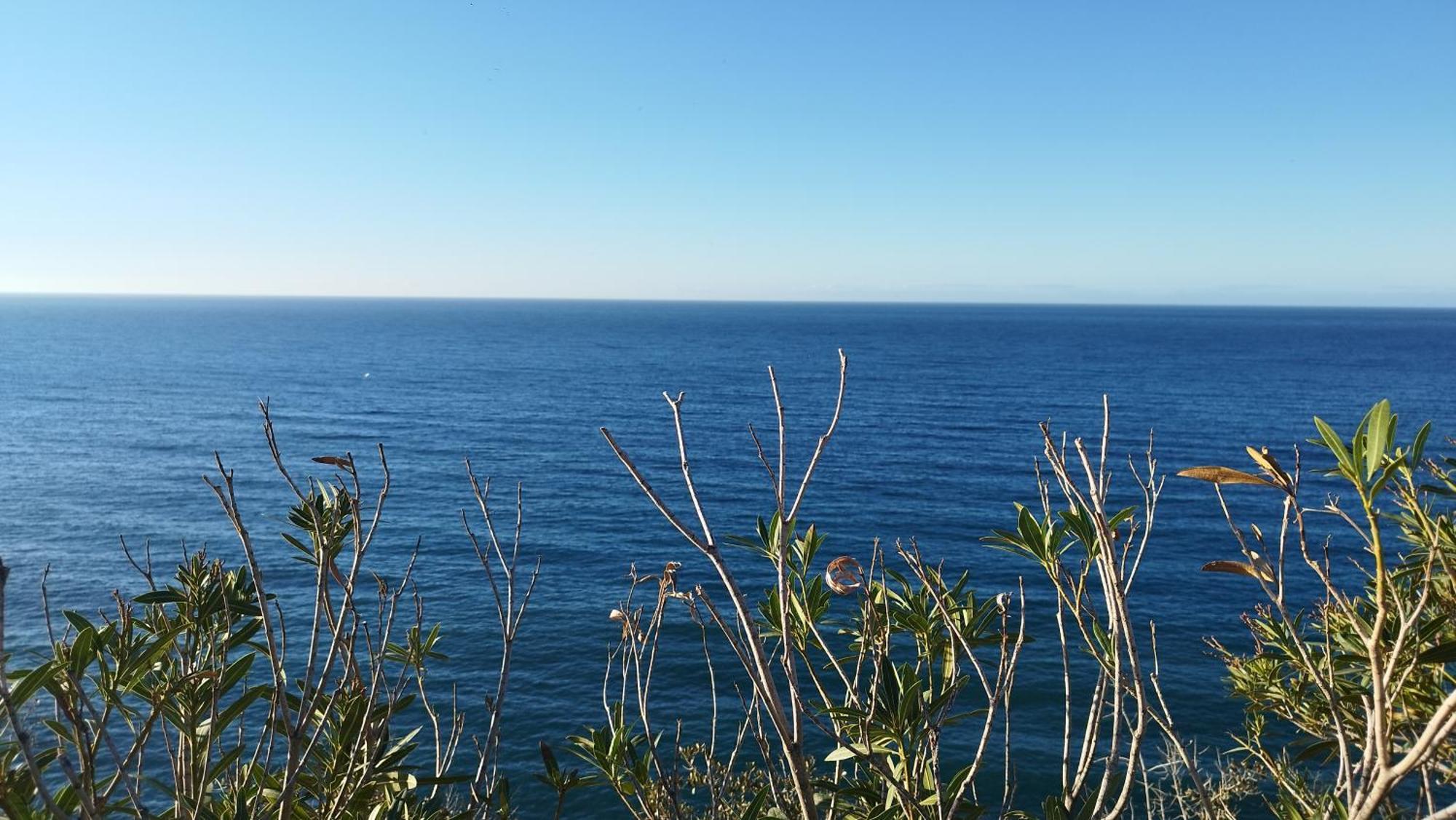 Almuñécar Vistas De Ensueno Junto Al Mar 아파트 외부 사진